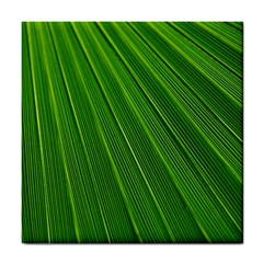 Green Lines Macro Pattern Tile Coasters by Amaryn4rt