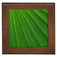 Green Lines Macro Pattern Framed Tiles