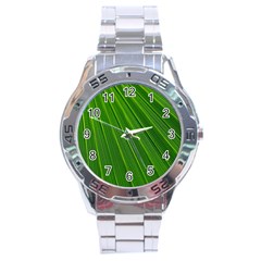 Green Lines Macro Pattern Stainless Steel Analogue Watch by Amaryn4rt