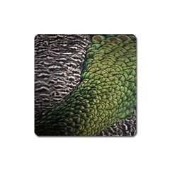 Bird Feathers Green Brown Square Magnet by Alisyart