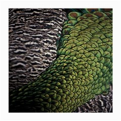Bird Feathers Green Brown Medium Glasses Cloth (2-side) by Alisyart