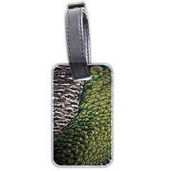 Bird Feathers Green Brown Luggage Tags (two Sides)