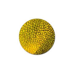 Jack Shell Jack Fruit Close Golf Ball Marker (4 Pack)