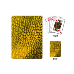 Jack Shell Jack Fruit Close Playing Cards (mini)  by Amaryn4rt