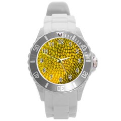 Jack Shell Jack Fruit Close Round Plastic Sport Watch (l) by Amaryn4rt