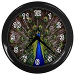 Bird Peacock Display Full Elegant Plumage Wall Clocks (Black) Front