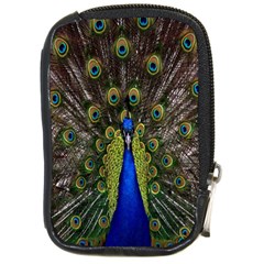 Bird Peacock Display Full Elegant Plumage Compact Camera Cases by Amaryn4rt