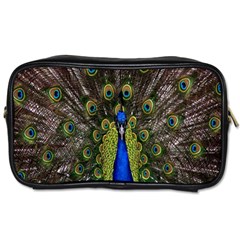 Bird Peacock Display Full Elegant Plumage Toiletries Bags by Amaryn4rt