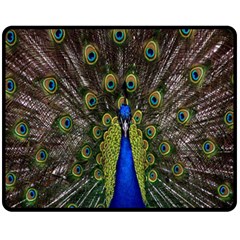 Bird Peacock Display Full Elegant Plumage Fleece Blanket (medium)  by Amaryn4rt