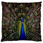 Bird Peacock Display Full Elegant Plumage Large Cushion Case (Two Sides) Back