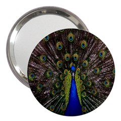 Bird Peacock Display Full Elegant Plumage 3  Handbag Mirrors by Amaryn4rt