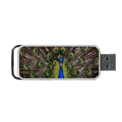 Bird Peacock Display Full Elegant Plumage Portable Usb Flash (one Side) by Amaryn4rt