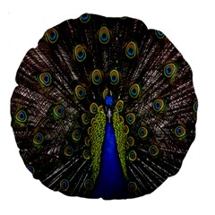 Bird Peacock Display Full Elegant Plumage Large 18  Premium Round Cushions