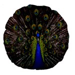 Bird Peacock Display Full Elegant Plumage Large 18  Premium Round Cushions Front