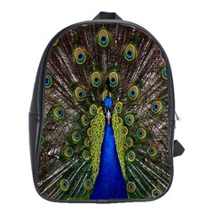 Bird Peacock Display Full Elegant Plumage School Bags (xl)  by Amaryn4rt