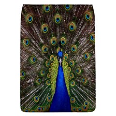 Bird Peacock Display Full Elegant Plumage Flap Covers (l)  by Amaryn4rt