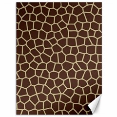 Leather Giraffe Skin Animals Brown Canvas 36  X 48  