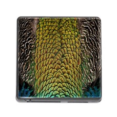 Colorful Iridescent Feather Bird Color Peacock Memory Card Reader (square) by Amaryn4rt