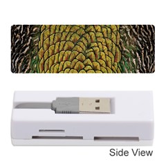 Colorful Iridescent Feather Bird Color Peacock Memory Card Reader (stick)  by Amaryn4rt