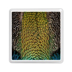Colorful Iridescent Feather Bird Color Peacock Memory Card Reader (square)  by Amaryn4rt