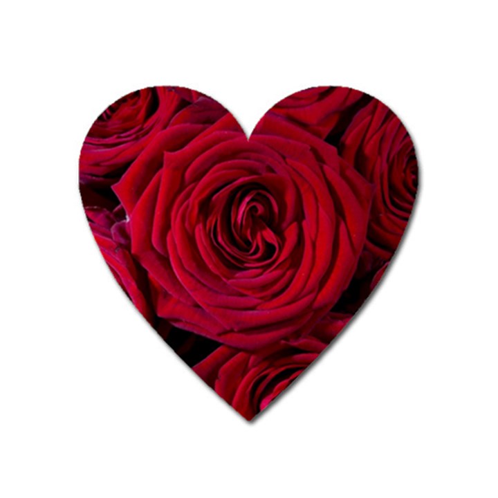 Roses Flowers Red Forest Bloom Heart Magnet