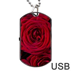 Roses Flowers Red Forest Bloom Dog Tag Usb Flash (one Side)