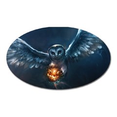 Owl And Fire Ball Oval Magnet by Amaryn4rt