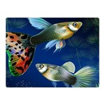 Marine Fishes Double Sided Flano Blanket (Mini)  35 x27  Blanket Front