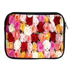 Rose Color Beautiful Flowers Apple Ipad 2/3/4 Zipper Cases by Amaryn4rt