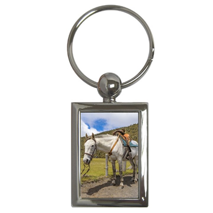 White Horse Tied Up at Cotopaxi National Park Ecuador Key Chains (Rectangle) 