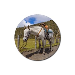 White Horse Tied Up At Cotopaxi National Park Ecuador Rubber Round Coaster (4 Pack)  by dflcprints