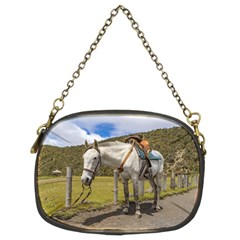 White Horse Tied Up At Cotopaxi National Park Ecuador Chain Purses (two Sides)  by dflcprints