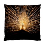 3d Beautiful Peacock Standard Cushion Case (Two Sides) Front