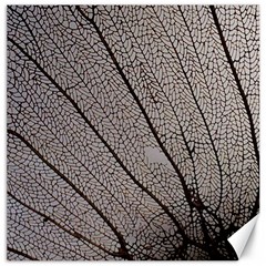 Sea Fan Coral Intricate Patterns Canvas 20  X 20   by Amaryn4rt