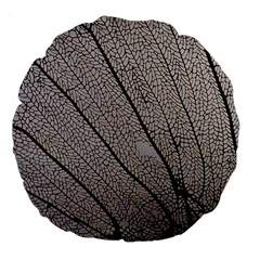 Sea Fan Coral Intricate Patterns Large 18  Premium Flano Round Cushions by Amaryn4rt