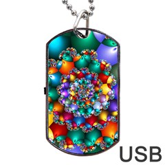 Rainbow Spiral Beads Dog Tag Usb Flash (two Sides) by WolfepawFractals