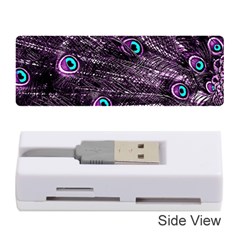 Bird Color Purple Passion Peacock Beautiful Memory Card Reader (stick)  by Amaryn4rt