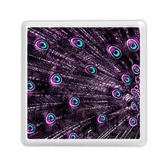 Bird Color Purple Passion Peacock Beautiful Memory Card Reader (square)  by Amaryn4rt