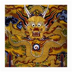 Chinese Dragon Pattern Medium Glasses Cloth (2-Side) Front