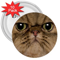 Cute Persian Cat Face In Closeup 3  Buttons (10 Pack)  by Amaryn4rt