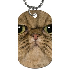 Cute Persian Cat Face In Closeup Dog Tag (one Side) by Amaryn4rt