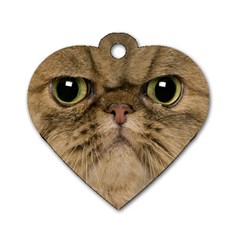 Cute Persian Cat Face In Closeup Dog Tag Heart (one Side) by Amaryn4rt