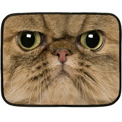 Cute Persian Cat Face In Closeup Fleece Blanket (mini)