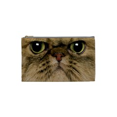 Cute Persian Cat Face In Closeup Cosmetic Bag (small)  by Amaryn4rt