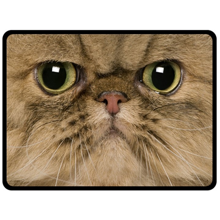 Cute Persian Cat face In Closeup Fleece Blanket (Large) 