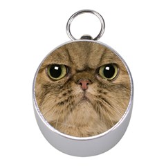 Cute Persian Cat Face In Closeup Mini Silver Compasses by Amaryn4rt