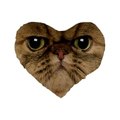 Cute Persian Cat Face In Closeup Standard 16  Premium Flano Heart Shape Cushions by Amaryn4rt