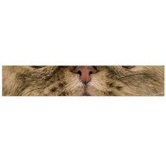 Cute Persian Cat Face In Closeup Flano Scarf (large)