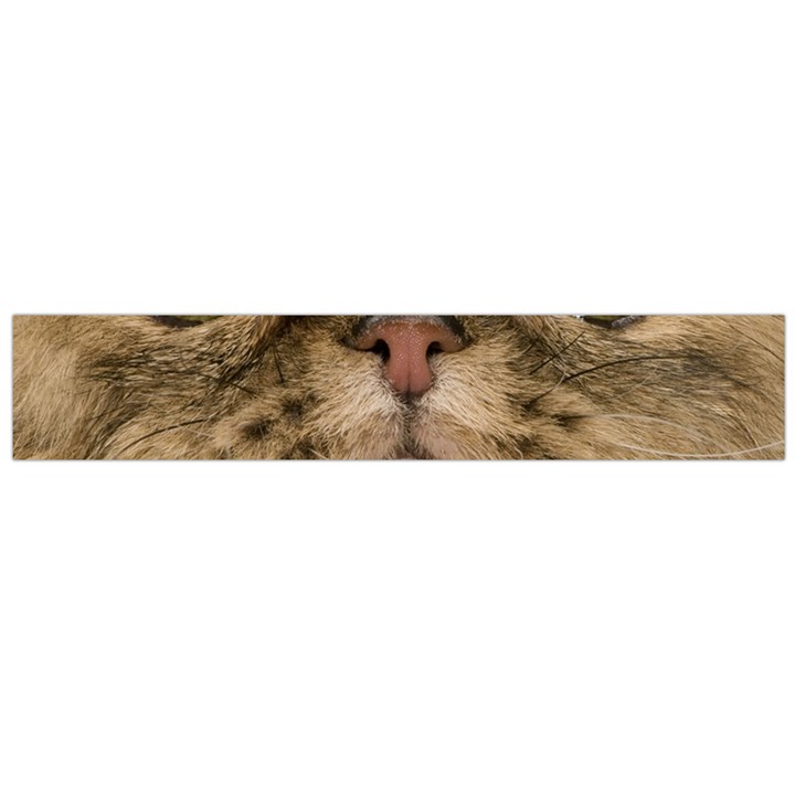 Cute Persian Cat face In Closeup Flano Scarf (Large)