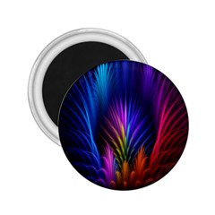 Bird Feathers Rainbow Color Pink Purple Blue Orange Gold 2 25  Magnets